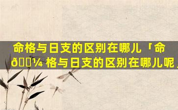 命格与日支的区别在哪儿「命 🌼 格与日支的区别在哪儿呢」